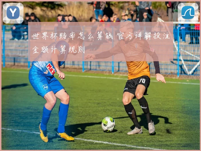 世界杯赔率怎么算钱 官方详解投注金额计算规则