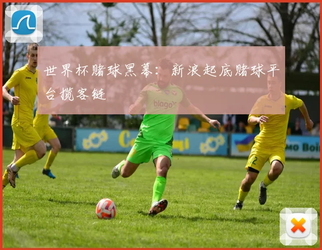 世界杯赌球黑幕:新浪起底赌球平台揽客链