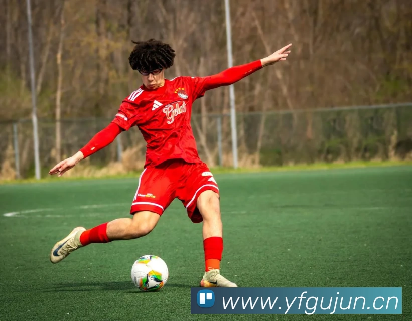 leyu乐鱼网址平台生态图