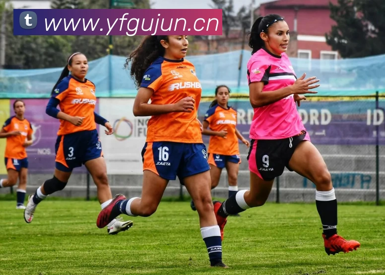 leyu乐鱼网址APP 封面图